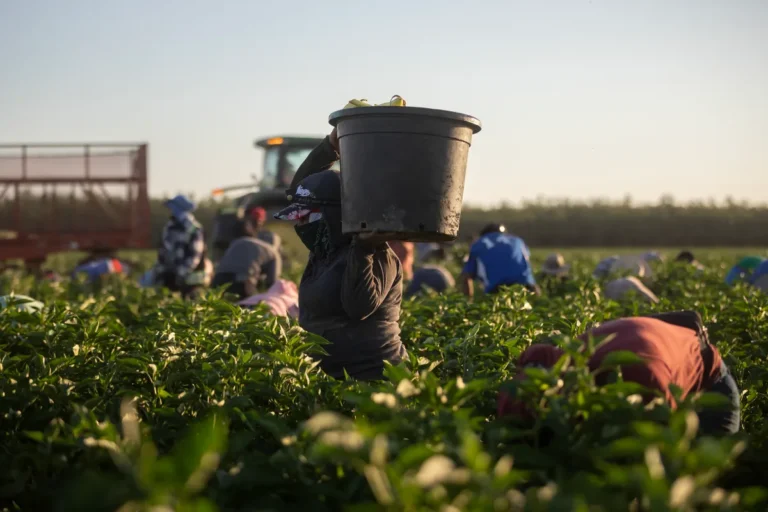 California OSHA inspectors don’t visit worksites even when workers are injured