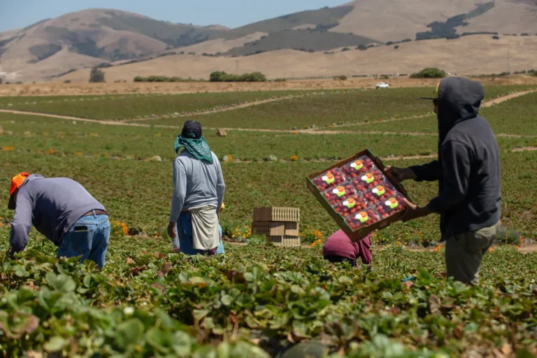Is California’s workplace safety agency protecting farmworkers? Legislators want to know