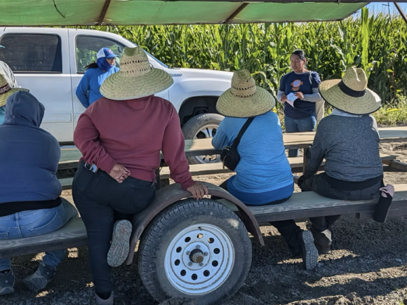 The Impossible Path Farmworkers Take to Recover Stolen Wages