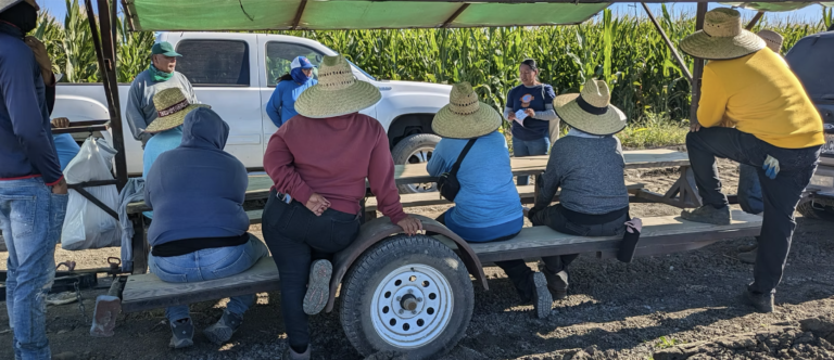 The Impossible Path Farmworkers Take to Recover Stolen Wages